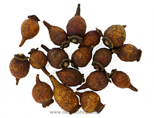 Cherokee Rose Fruit (Jin Ying Zi)