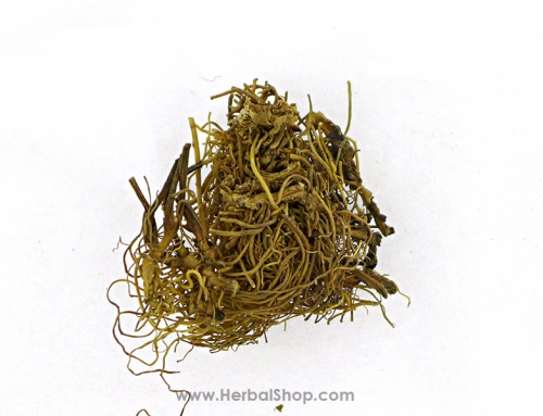 Asarum Herb (Xi Xin)