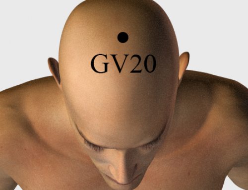 Acupressure Point GV20 (also known as DU-20)