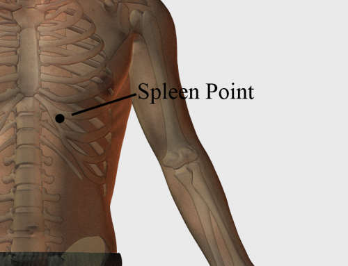 Acupressure Point Spleen Point