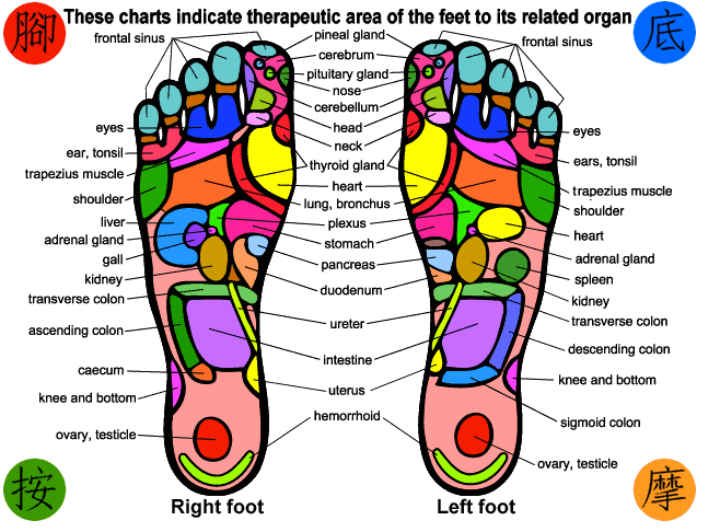 foot massage chart