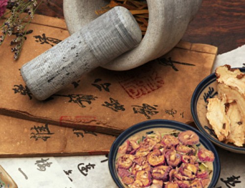 Art of Healing – About Traditional Chinese  Medicinal Herbs