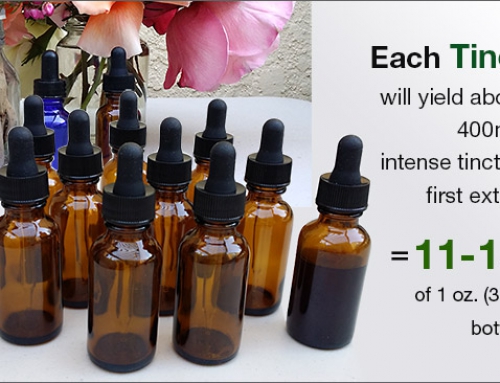 Why Make Your Own Herbal Tinctures?