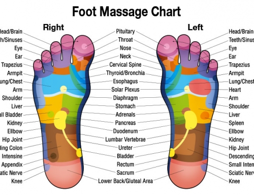 Free Downloadable Foot Massage Chart for Self Healing