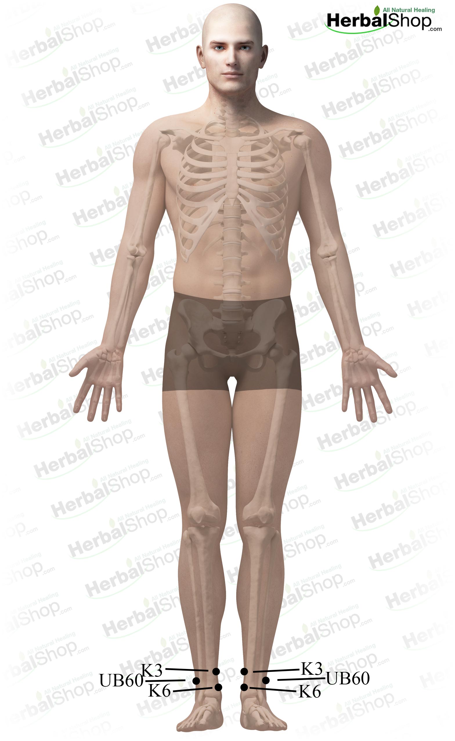 Foot Reflexology Acupressure Massager Mat - Body Stress & Heel Pain Relief  Pad - | eBay